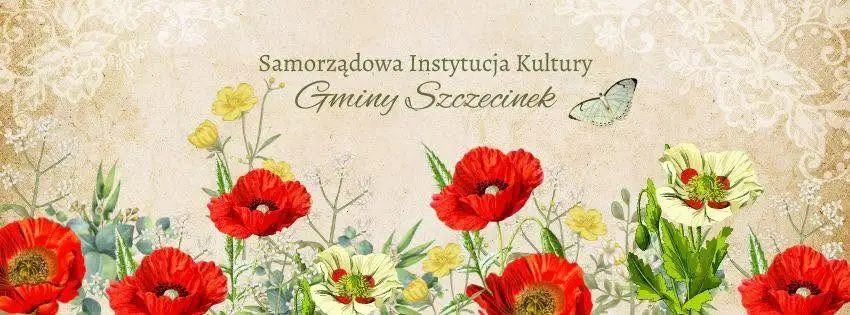 Smerfna przygoda z książką w bibliotece w Wierzchowie