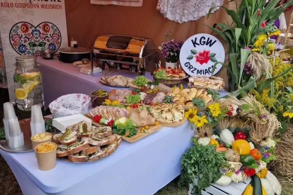 Piknik rodzinny w Brzezinach: atrakcje, służby mundurowe i potańcówka