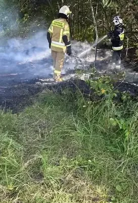 Pożar śmieci przy lesie w Starym Chwalimie – strażacy w akcji