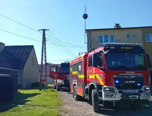 Fałszywy alarm w Grzmiącej: interwencja strażaków z powodu konaru drzewa