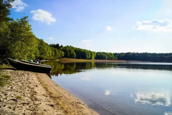 Jezioro Wierzchowo: dlaczego budowa pomostu i wycinka trzciny wymagają procedur?