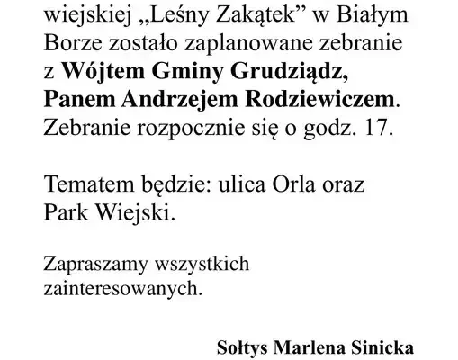 Zebranie wiejskie w Białym Borze – ulica Orla i Park Wiejski w centrum uwagi