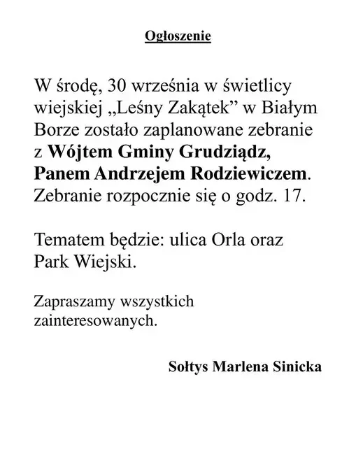 Zebranie wiejskie w Białym Borze – ulica Orla i Park Wiejski w centrum uwagi