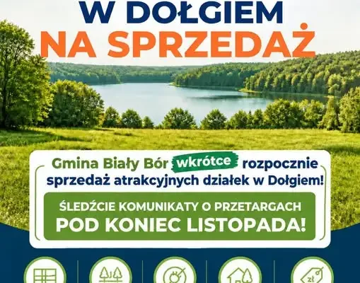 Gmina Biały Bór sprzeda działki nad jeziorem w Dołgiem. Przetargi pod koniec listopada