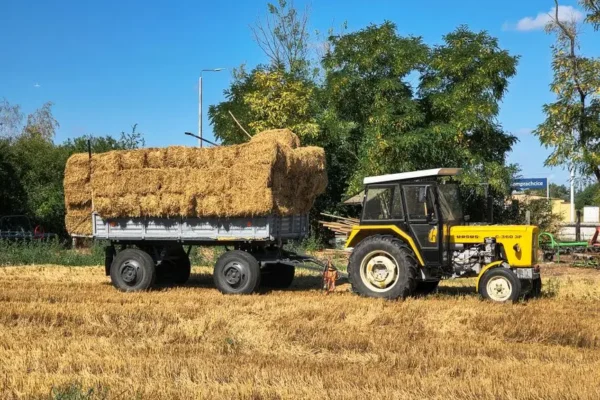 Gmina Grzmiąca święciła sukcesy dożynkowe w Szczecinku i Przelewicach
