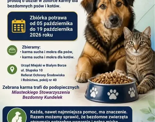 Biały Bór: Zbiórka karmy dla bezdomnych zwierząt od 5 do 19 października